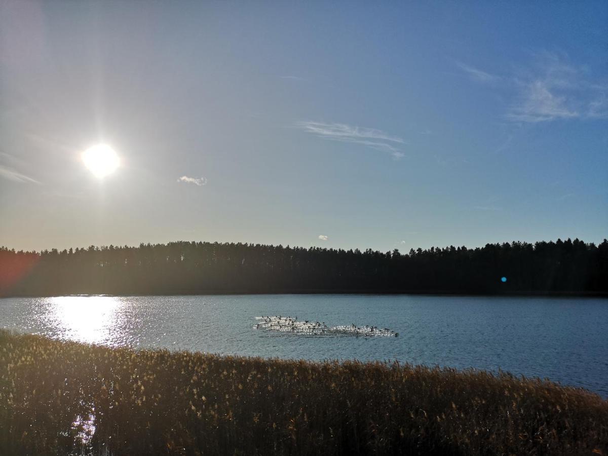 Apartamenty Mazurskie Klimaty Tomaszkowo Exteriér fotografie